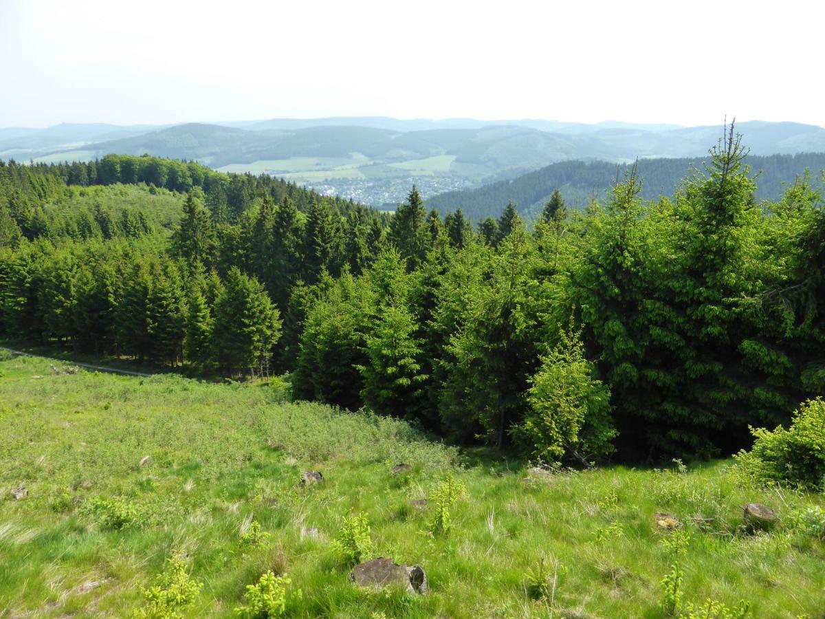 Kueken Winterberg Apartman Kültér fotó